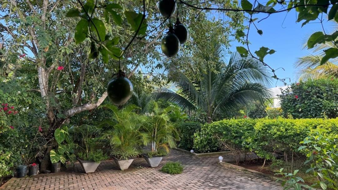 Minah Bungalows Nungwi Exterior foto